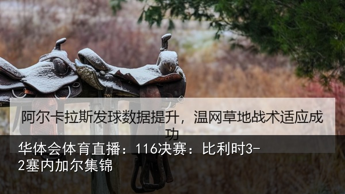 华体会体育直播：116决赛：比利时3-2塞内加尔集锦