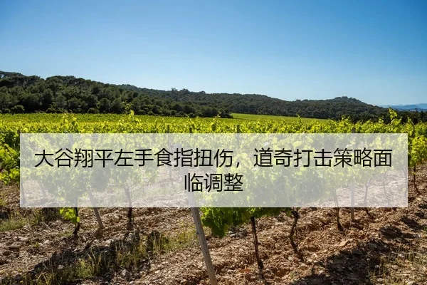 da-gu-xiang-ping-zuo-shou-shi-zhi-niu-shang-dao-qi-da-ji-ce-lve-mian-lin-tiao-zheng-2-113.jpg