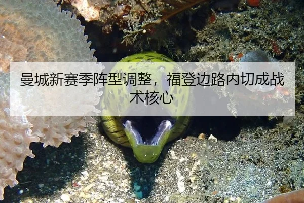 曼城新赛季阵型调整，福登边路内切成战术核心