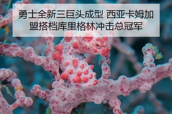 勇士全新三巨头成型 西亚卡姆加盟搭档库里格林冲击总冠军