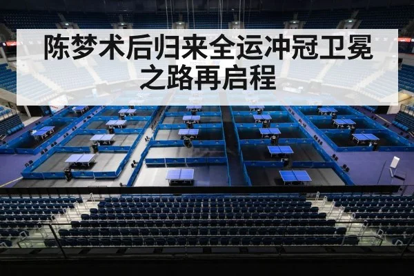 table tennis competition arena